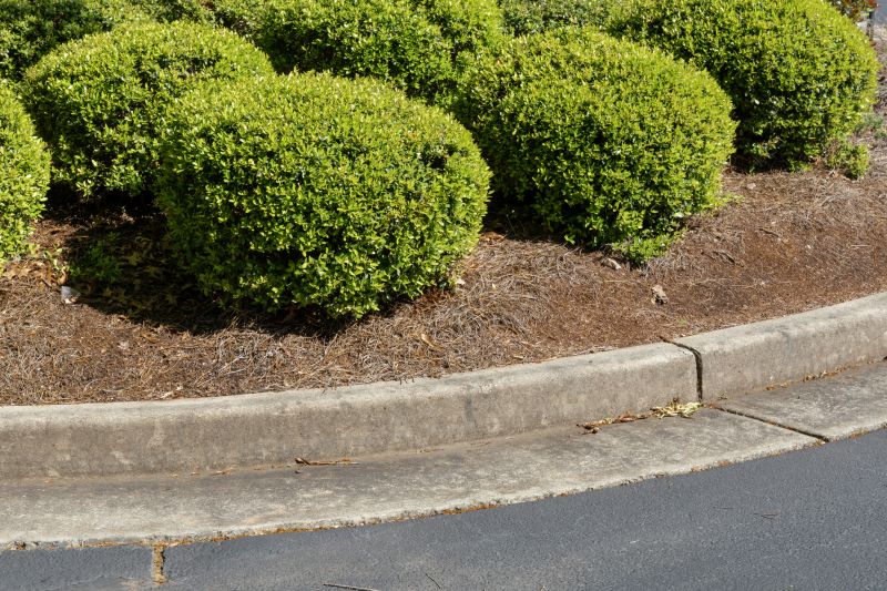 Concrete Curbing Creates Borders for Landscaping